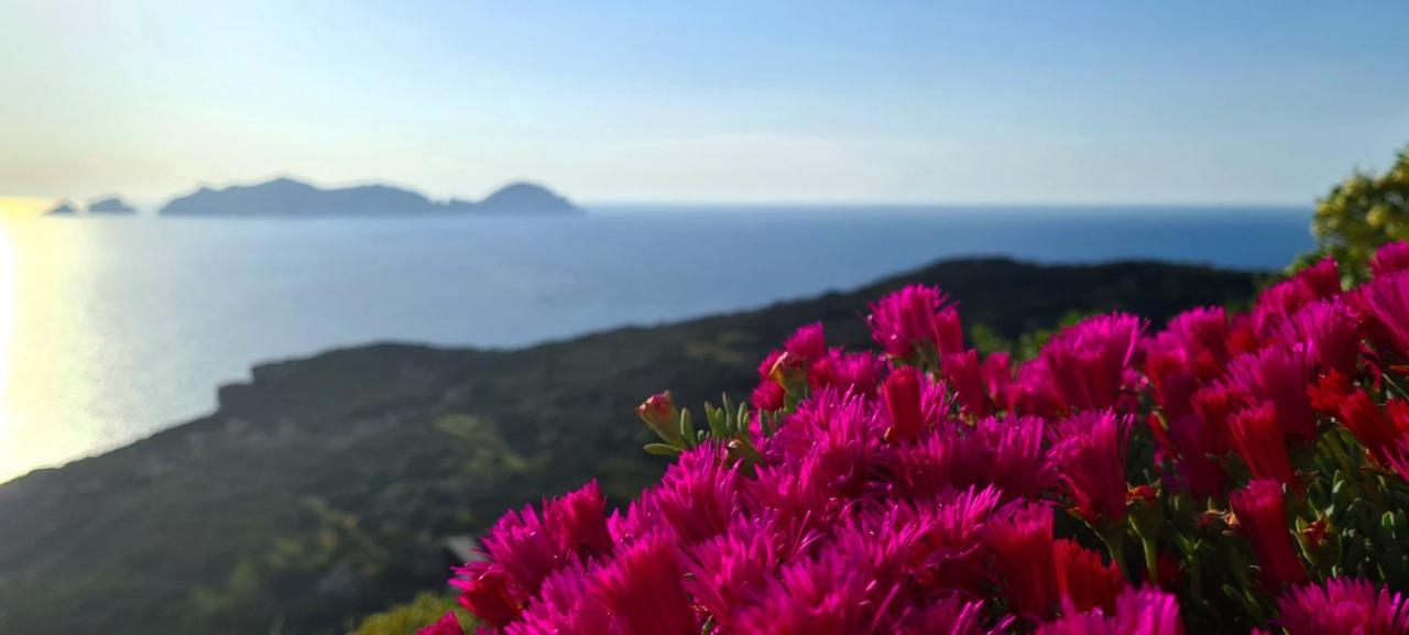 Guest House Villa Il Gabbiano Ponza Eksteriør bilde